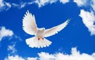 Hari Biasa, Minggu Biasa XXVIII. “Barangsiapa yang menghujat Roh Kudus, ia tidak akan diampuni”