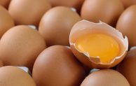 Telur